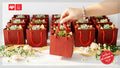 10 TÚI KRAFT ĐỎ 10X10X5CM - QUÀ TẶNG NGÀY KỶ NIỆM