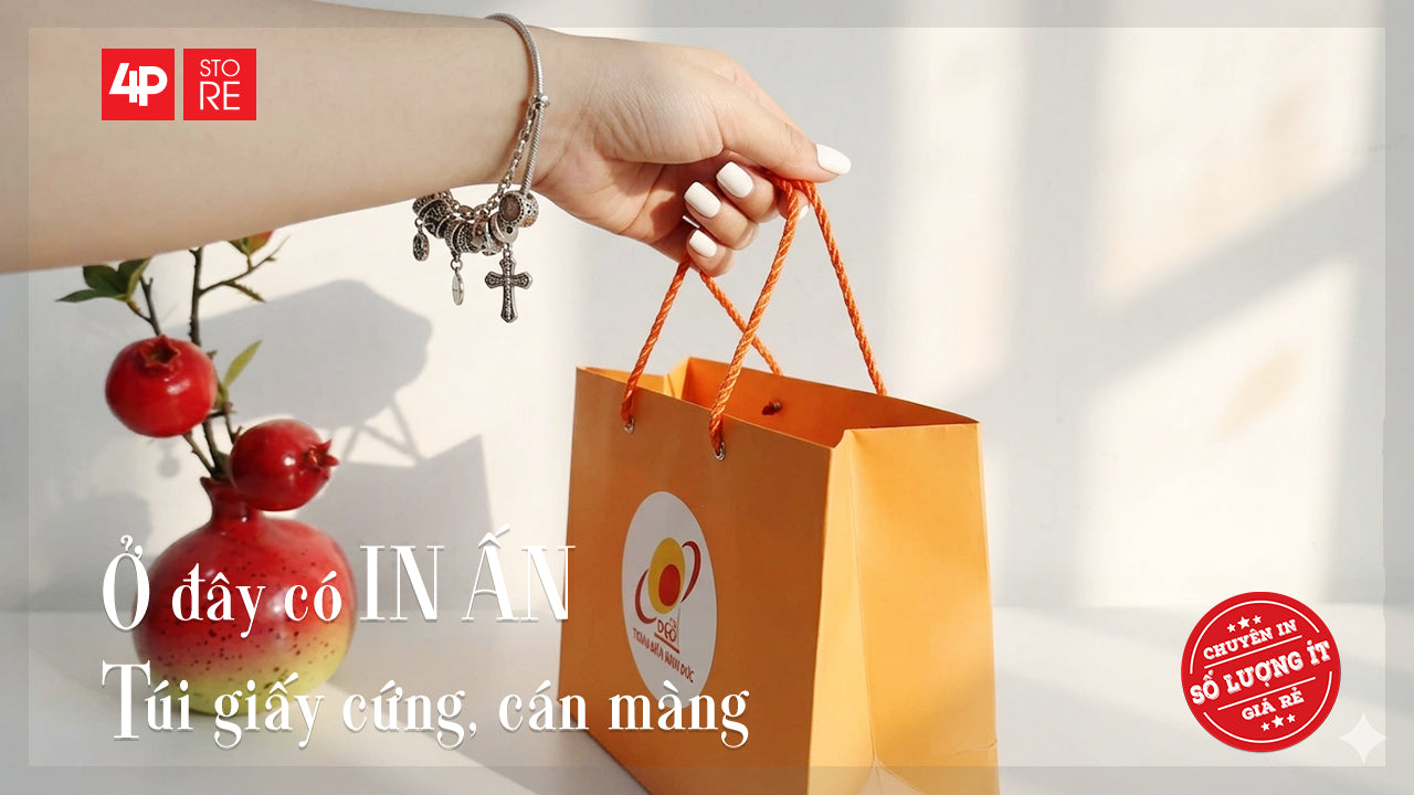 TÚI GIẤY CỨNG, IN THEO YÊU CẦU