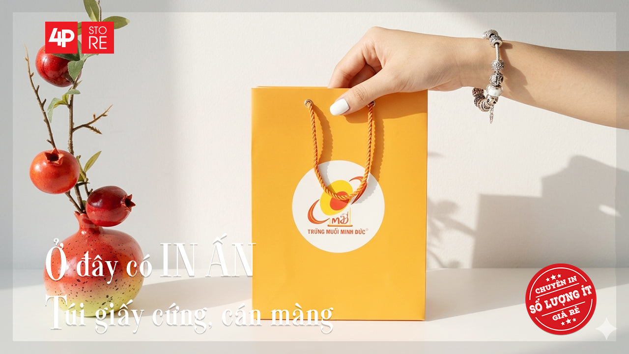 TÚI GIẤY CỨNG, IN THEO YÊU CẦU