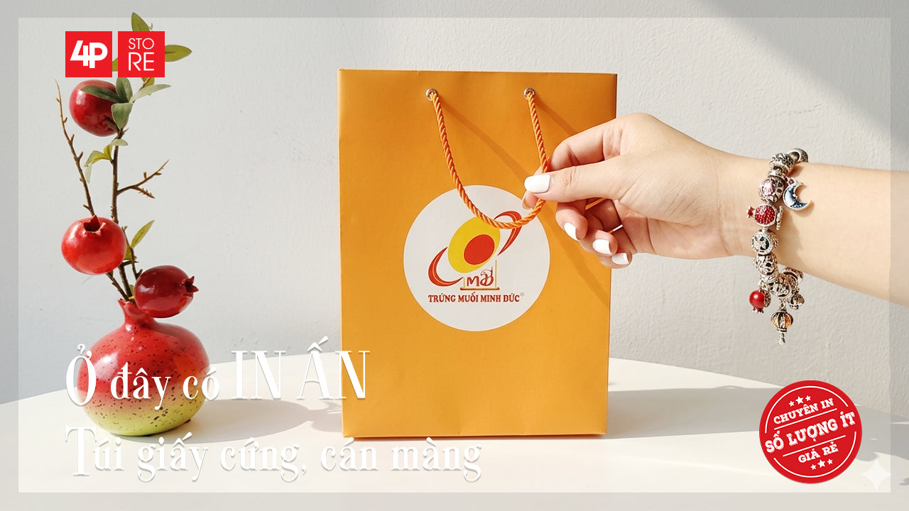 TÚI GIẤY CỨNG, IN THEO YÊU CẦU